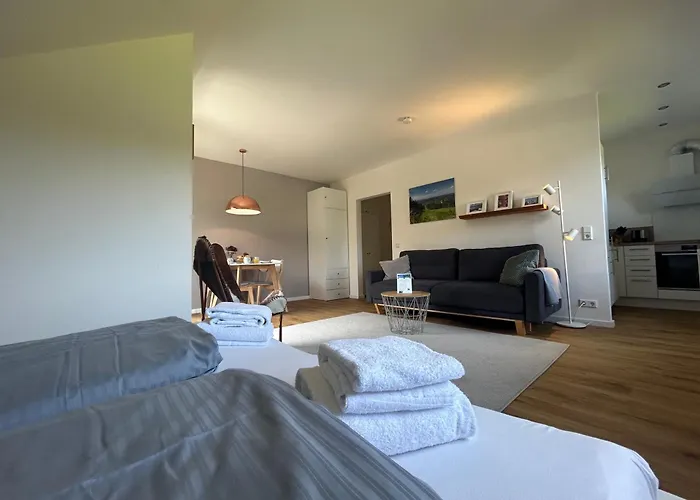Hahnenklee Charme - moderne neue Ferienwohnung mit 2 Balkons